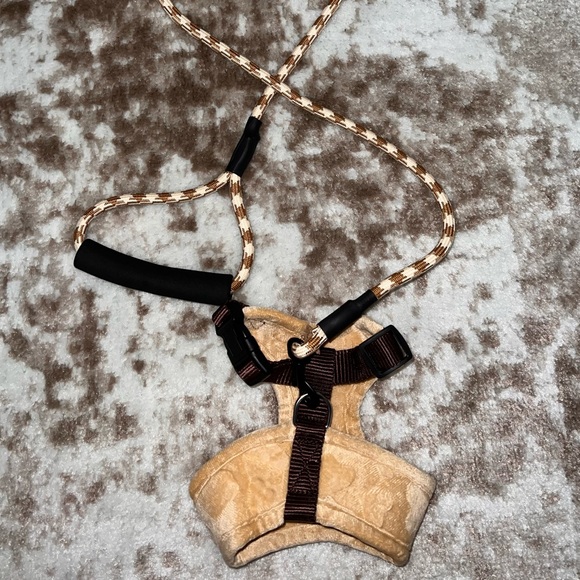 Pet harness and leash set - Picture 4 of 5